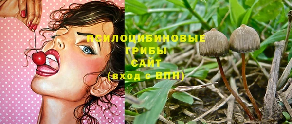 молекула духа Осинники