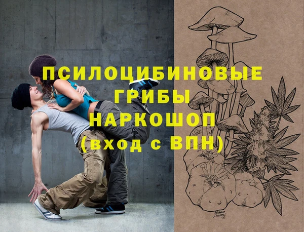 молекула духа Осинники