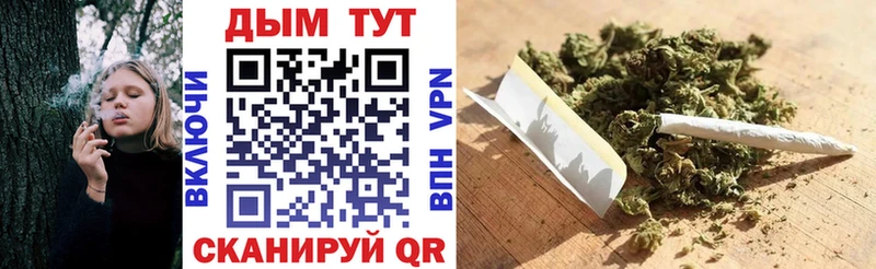 Шишки марихуана конопля  Купить закладки  Сургут 